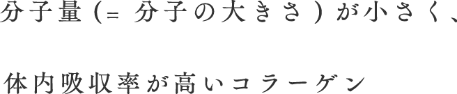 分子量(= 分子の大きさ)が小さく、体内吸収率が高いコラーゲン