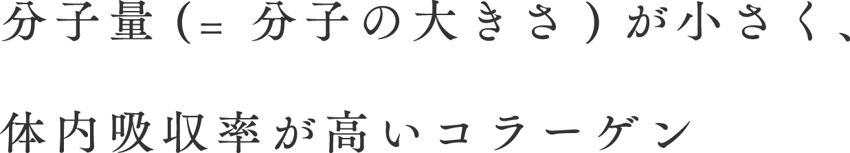 分子量(= 分子の大きさ)が小さく、体内吸収率が高いコラーゲン