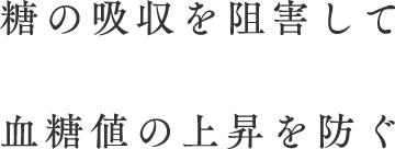 糖の吸収を阻害して血糖値の上昇を防ぐ効果があります