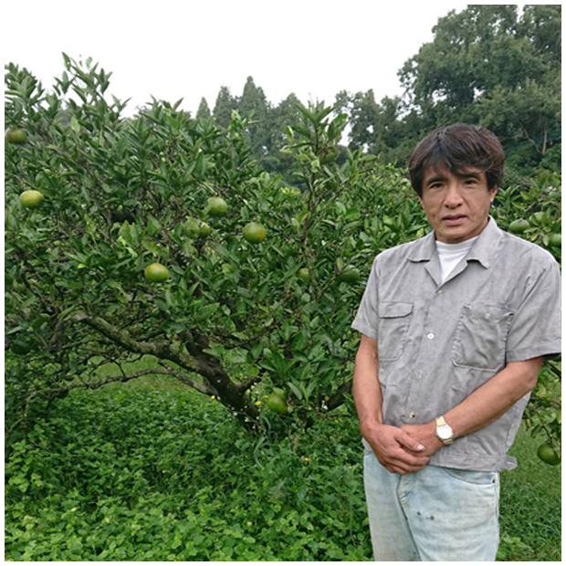 福島さんの有機ネーブル 4個