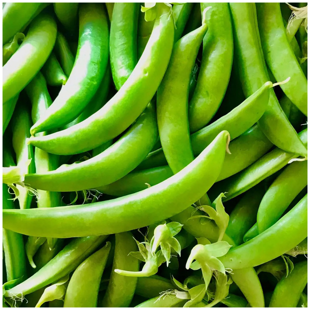 特別栽培　スナップえんどう 100ｇ