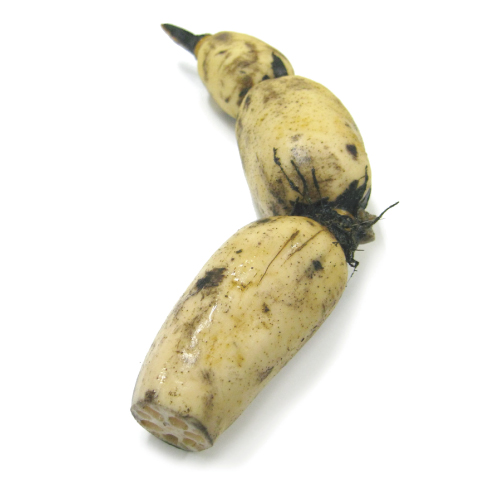 加賀美人れんこん　　約300g/計量品100gあたりの価格