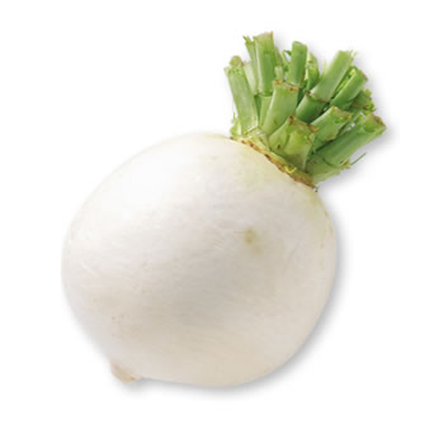 【伝統野菜】聖護院大根 1/2個