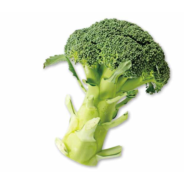 加藤さんのとれたてブロッコリー 1個