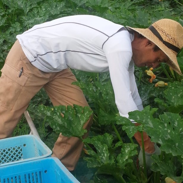 お得なお任せ野菜セット《パーソナルベジパック》