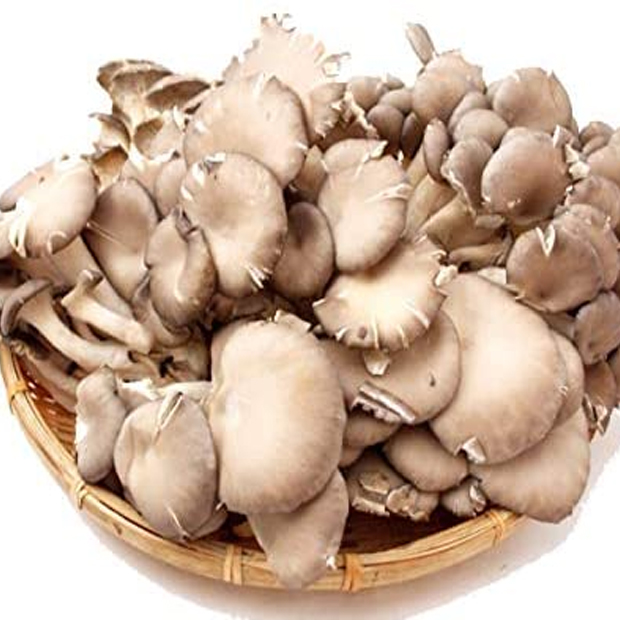 ひら茸　　約100g