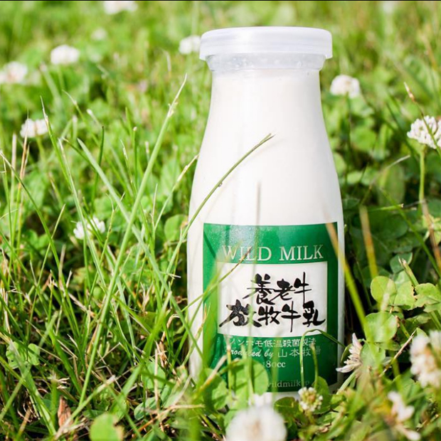 養老牛放牧牛乳　グラスフェッドミルク（小）180ml