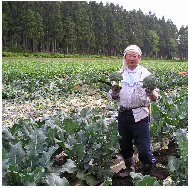 お得なお任せ野菜セット《パーソナルベジパック》