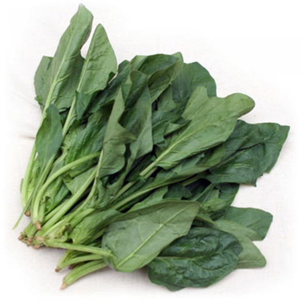 有機ほうれん草 約150ｇ